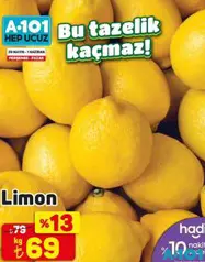 LİMON KG